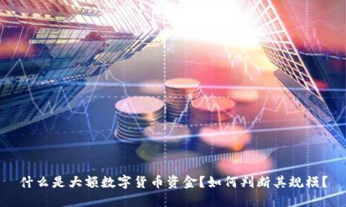 什么是大额数字货币资金？如何判断其规模？