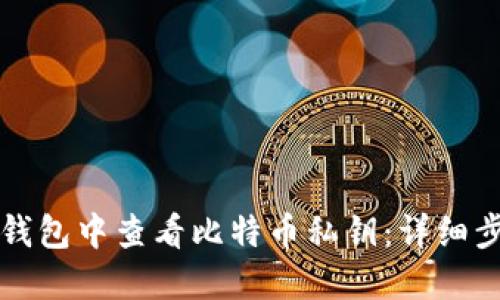 如何在TP钱包中查看比特币私钥：详细步骤与解答