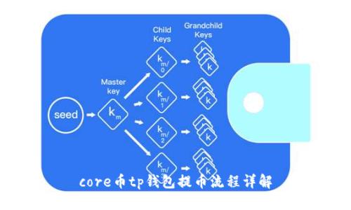 core币tp钱包提币流程详解