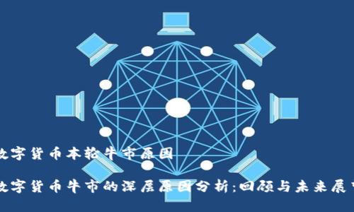 数字货币本轮牛市原因

数字货币牛市的深层原因分析：回顾与未来展望