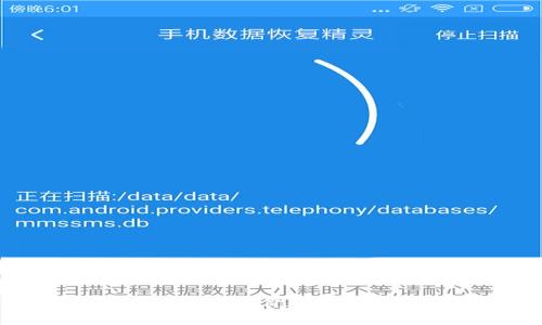 TP钱包中的币不显示价格的原因及解决方案