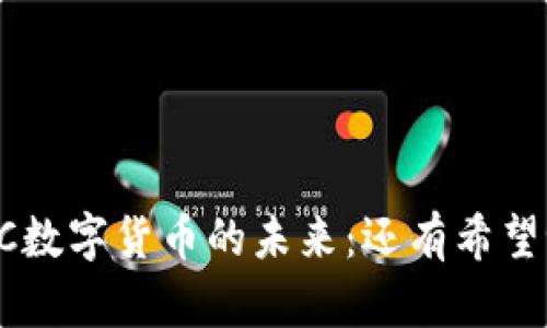 POC数字货币的未来：还有希望吗？