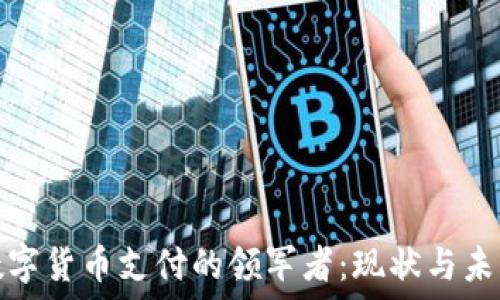   
中国数字货币支付的领军者：现状与未来发展