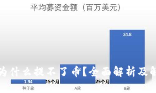 TP钱包为什么提不了币？全面解析及解决方案