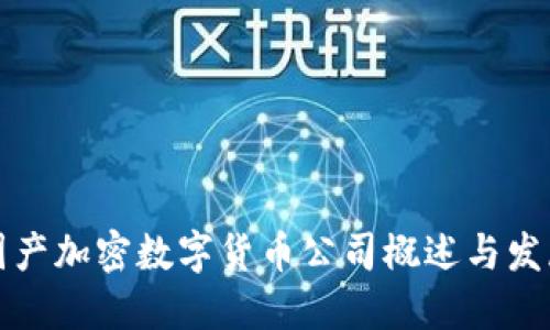 中国国产加密数字货币公司概述与发展趋势