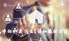 TP钱包中的BT是什么？详细解析与使用指南