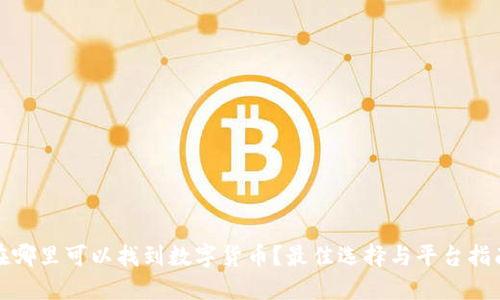 在哪里可以找到数字货币？最佳选择与平台指南