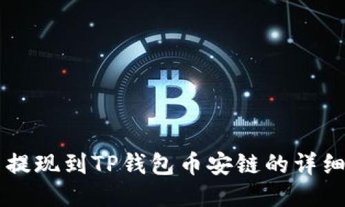 中币提现到TP钱包币安链的详细指南