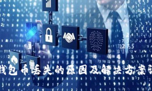TP钱包币丢失的原因及解决方案详解