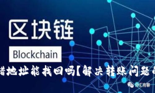 TP钱包转错地址能找回吗？解决转账问题的全面指南