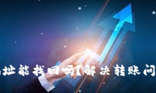 TP钱包转错地址能找回吗？解决转账问题的全面指南