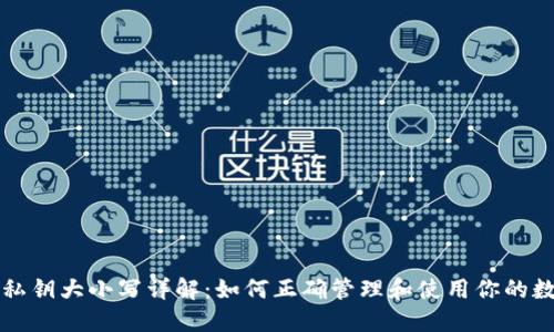 TP钱包私钥大小写详解：如何正确管理和使用你的数字资产