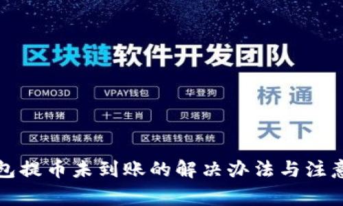 TP钱包提币未到账的解决办法与注意事项
