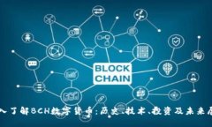 深入了解BCH数字货币：历史、技术、投资及未来