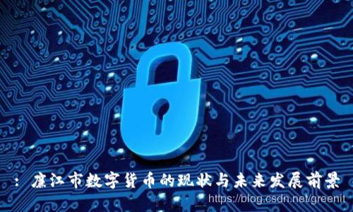 : 廉江市数字货币的现状与未来发展前景