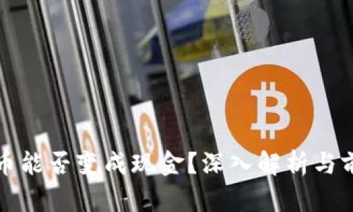 数字货币能否变成现金？深入解析与前景展望