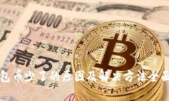 TP钱包币少了的原因及解决方法全面解析
