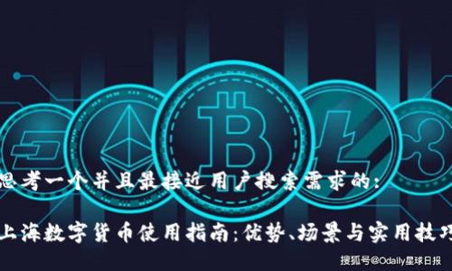 思考一个并且最接近用户搜索需求的:

上海数字货币使用指南：优势、场景与实用技巧
