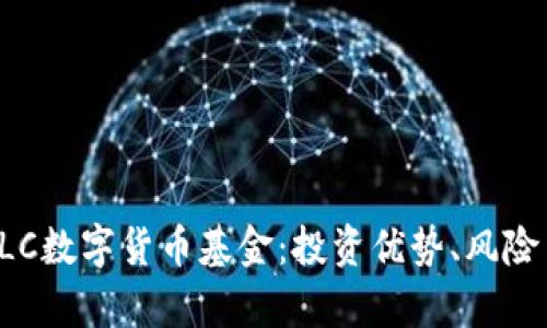 全面解析BLC数字货币基金：投资优势、风险与未来趋势