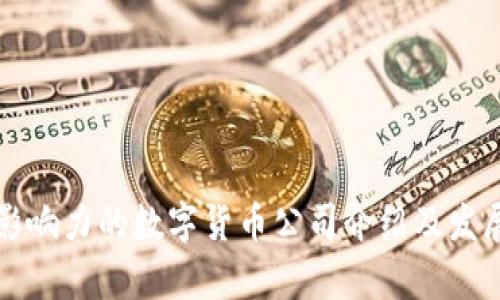 深圳最具影响力的数字货币公司介绍及发展前景分析
