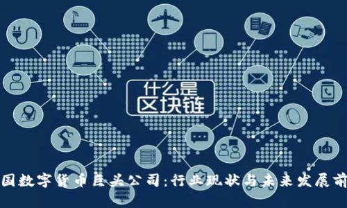 泰国数字货币巨头公司：行业现状与未来发展前景