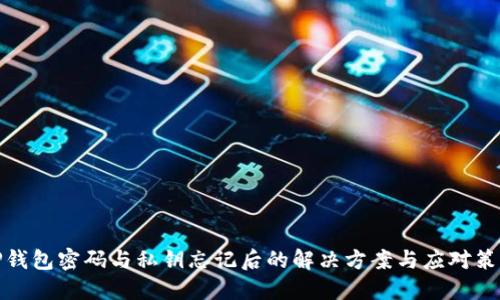 TP钱包密码与私钥忘记后的解决方案与应对策略