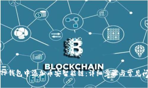 如何在TP钱包中添加币安智能链：详细步骤与常见问题解析
