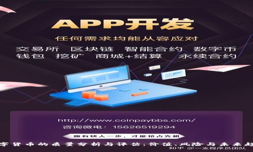 数字货币的质量分析与评估：价值、风险与未来趋势